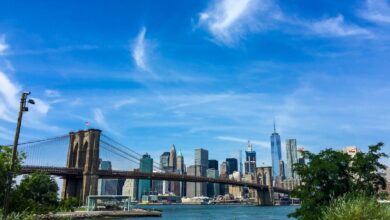 Brooklyn New York: The Ultimate Guide to Culture, Travel, and Camp Experiences