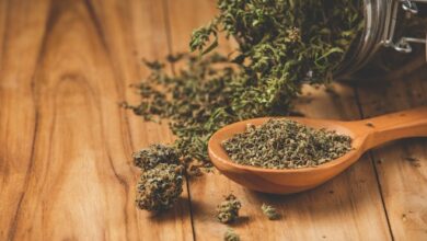 Marijuana Plant on a Wooden Floor