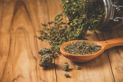 Marijuana Plant on a Wooden Floor