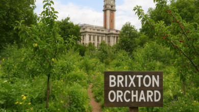 Brixton Orchard