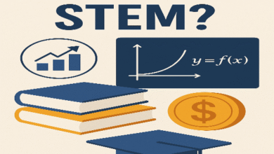 is economics stem