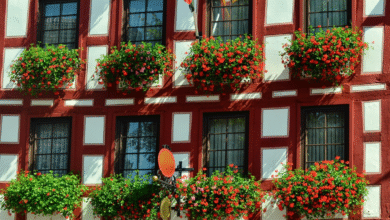 Timber Sash Windows: The Best Choice for Style, Efficiency and Heritage Homes