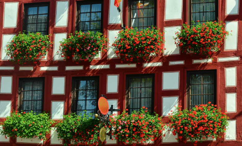 Timber Sash Windows: The Best Choice for Style, Efficiency and Heritage Homes