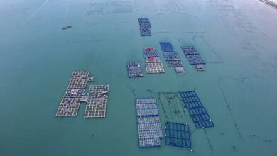 How Companies That Build and Sell Floating Docks are Changing the Maritime and Waterside Sector