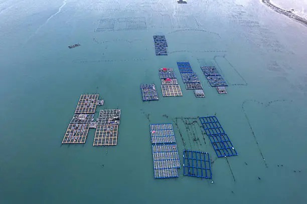 How Companies That Build and Sell Floating Docks are Changing the Maritime and Waterside Sector