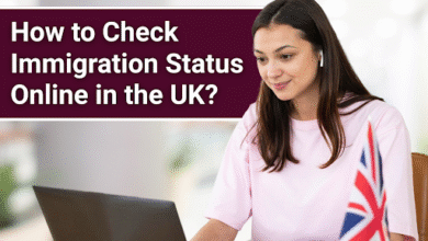 How to Check Immigration Status Online in the UK