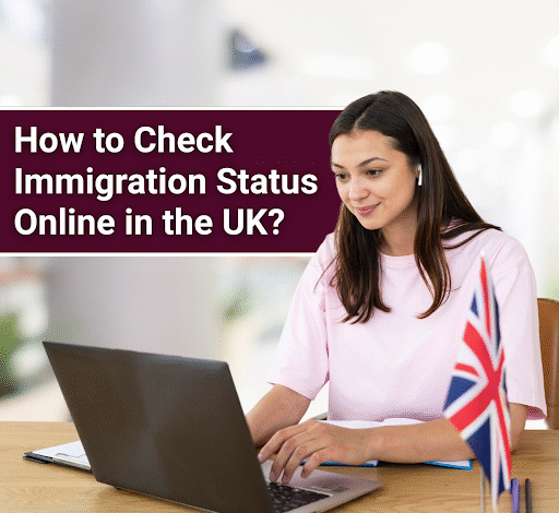 How to Check Immigration Status Online in the UK