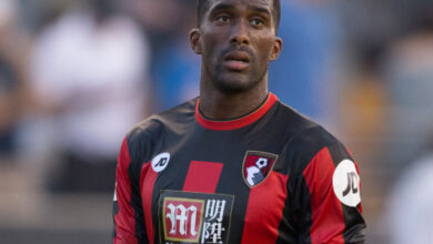Sylvain Distin