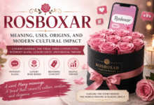 rosboxar